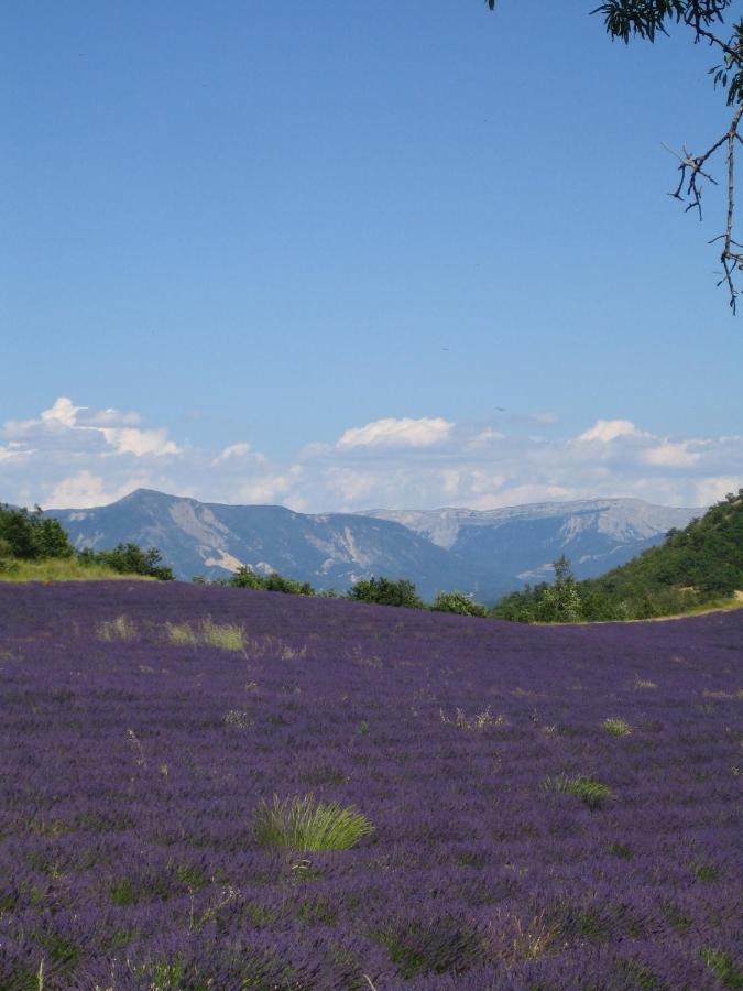Les Vieux Murs Montfort  Ruang foto