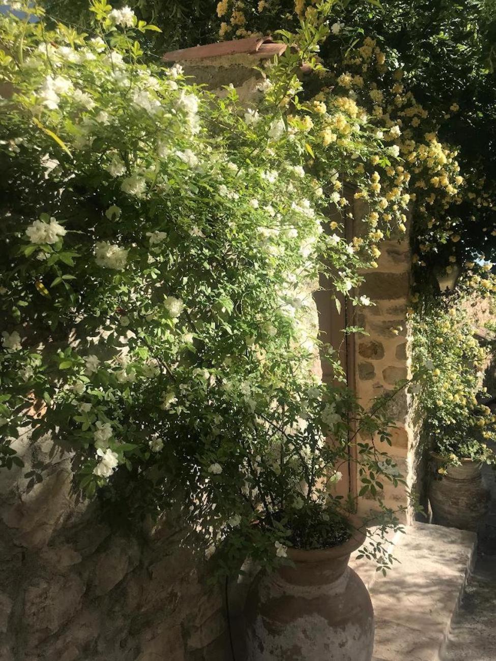 Les Vieux Murs Montfort  Bagian luar foto